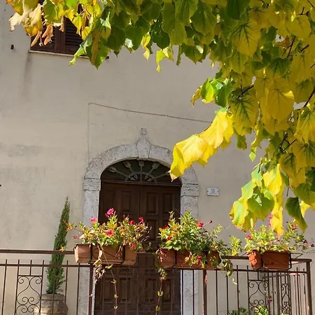 Amiter Apartment